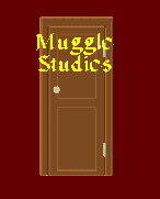 Muggle Studies